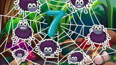 charlotte's web 2 yts