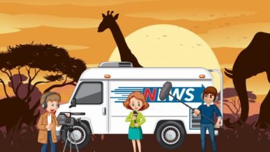 zebra movie ott release date
